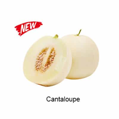 VAPELF – CANTALOUPE – CONCENTRATED FLAVOURS – 10ML